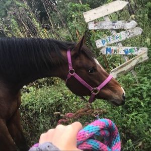 Meet your Posher, Isabella